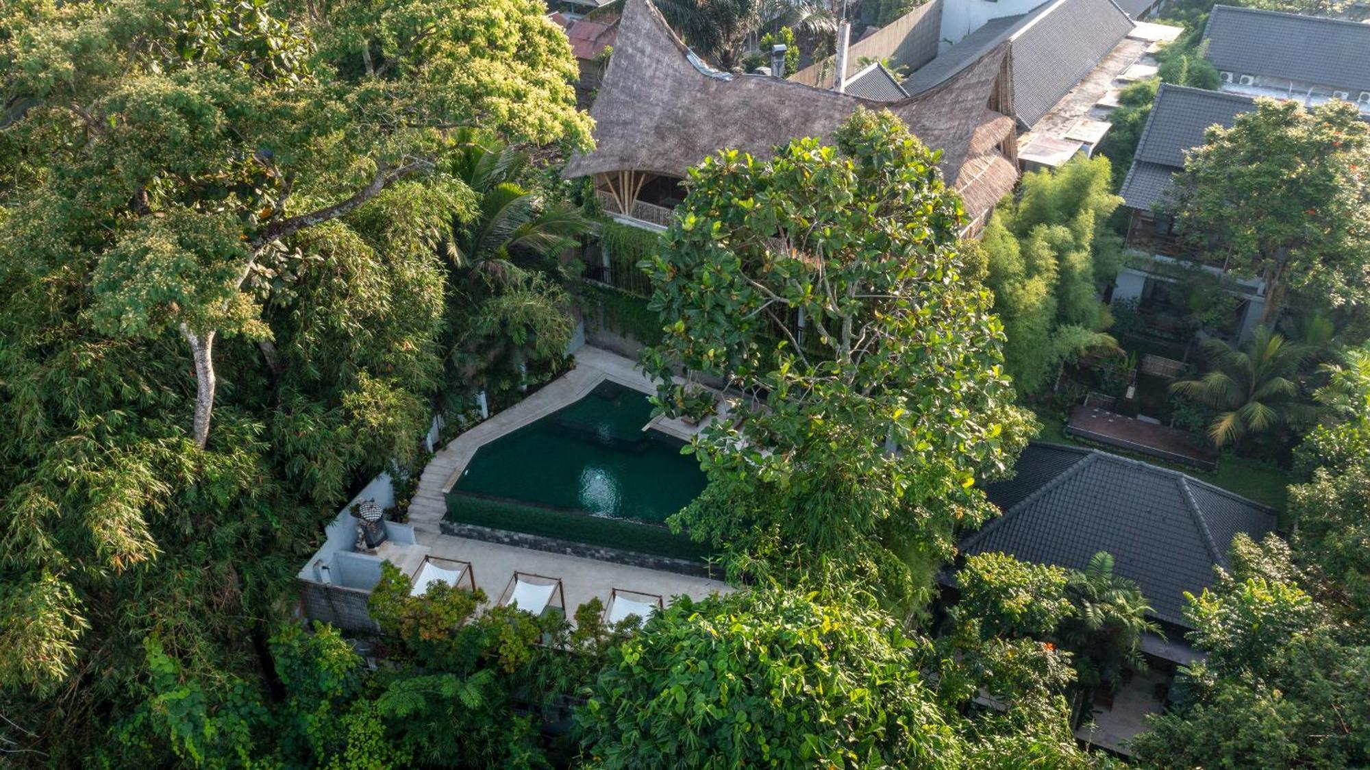 Dinara Ubud Extérieur photo